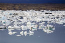 GLACIAL FRAGMENTS